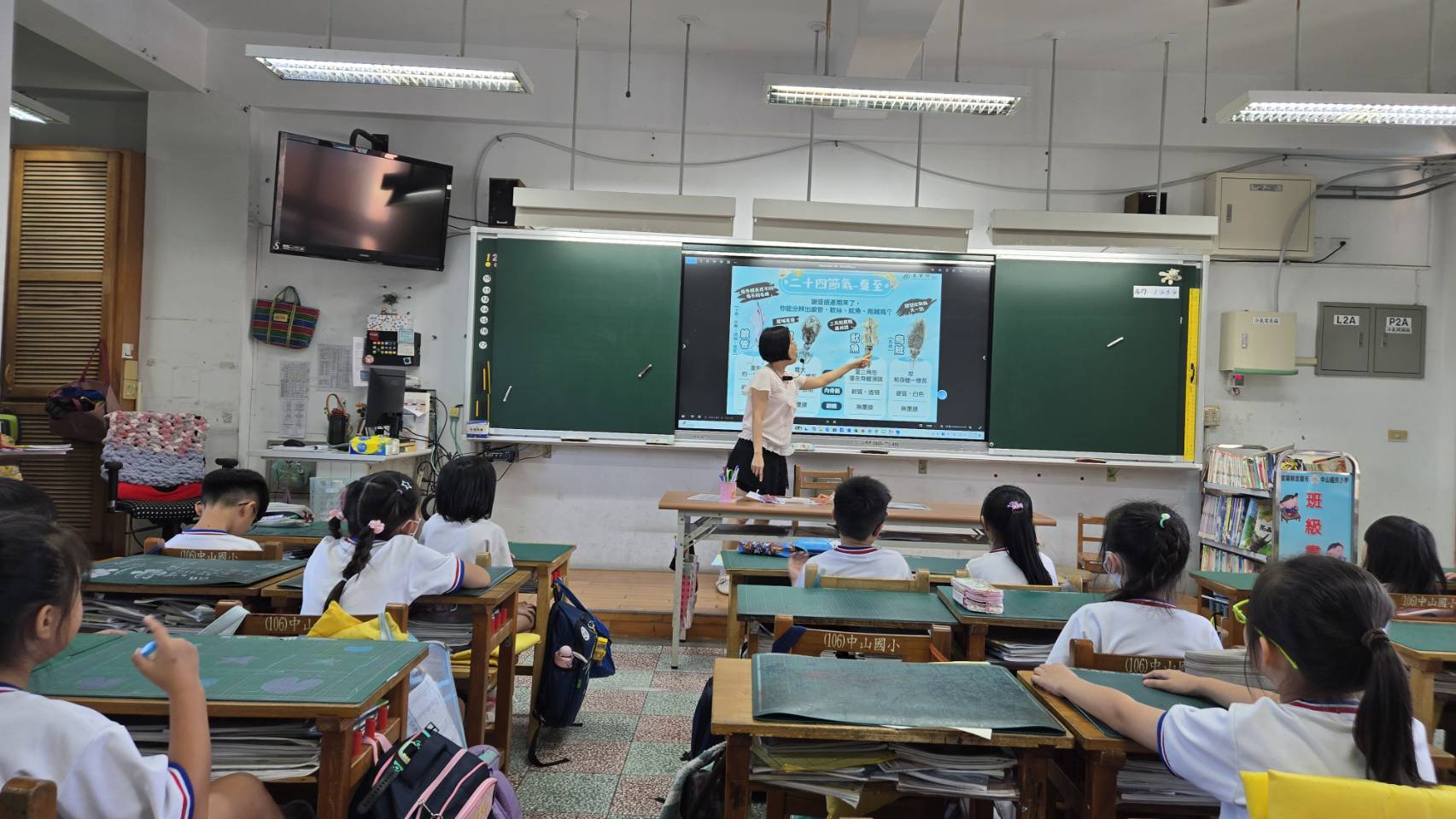 認識不同頭足類生物