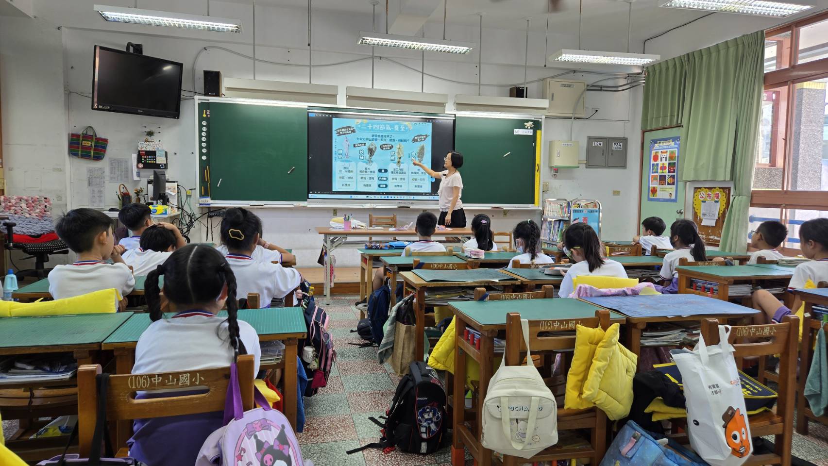 說明不同頭足類生物的差異