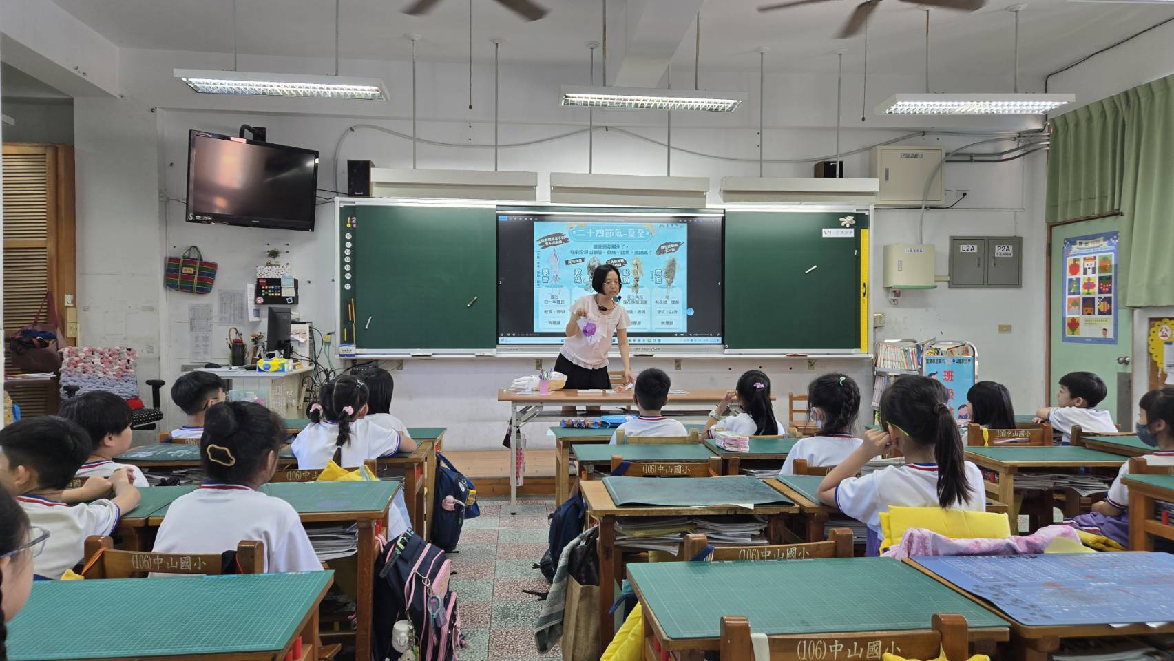 頭足類卡片製作說明