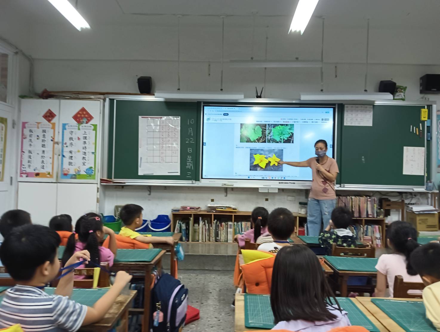 介紹南瓜有漂亮的花