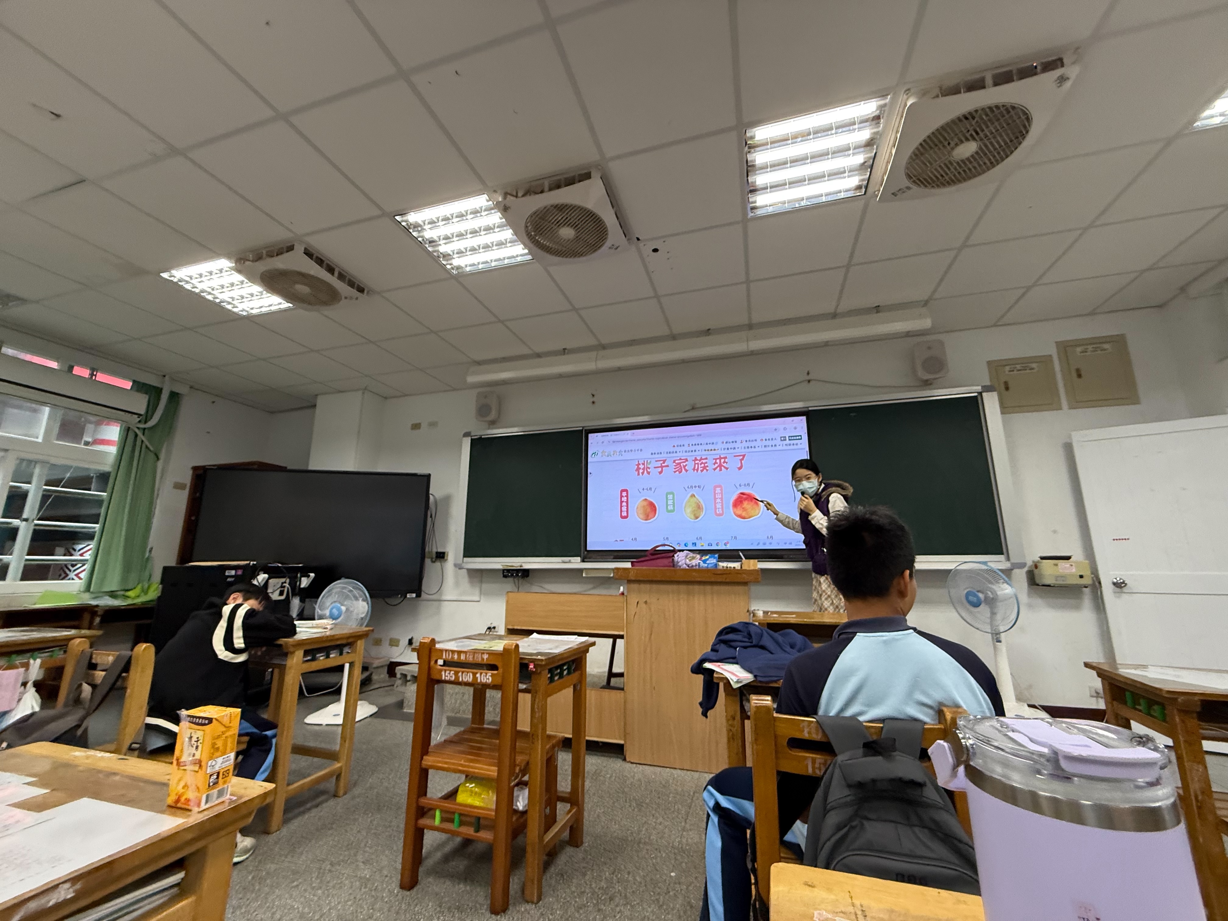 教師示範查找桃子資訊