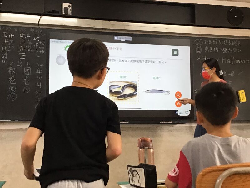 向學生介紹平臺內的鰻魚內容