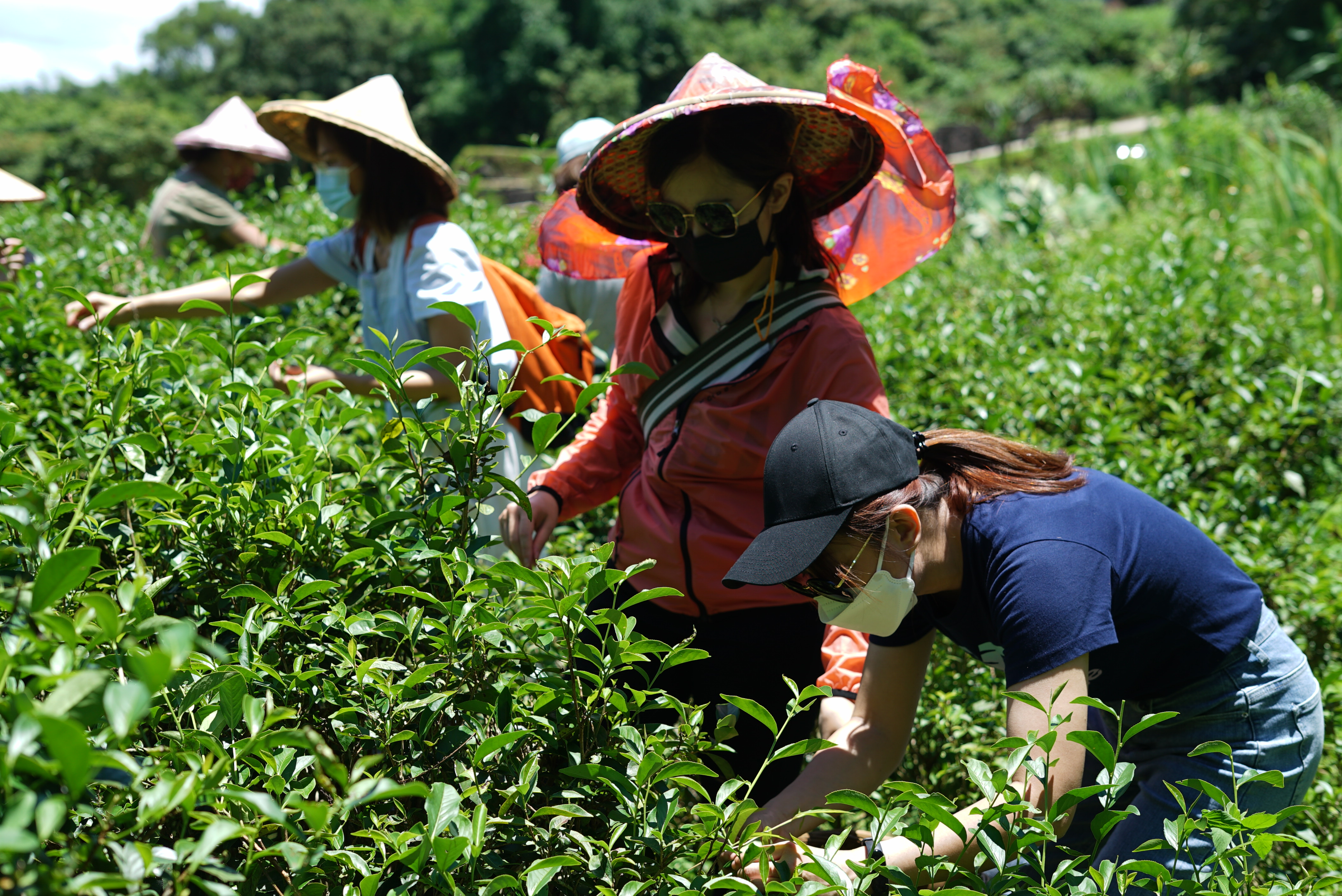 六季香茶坊