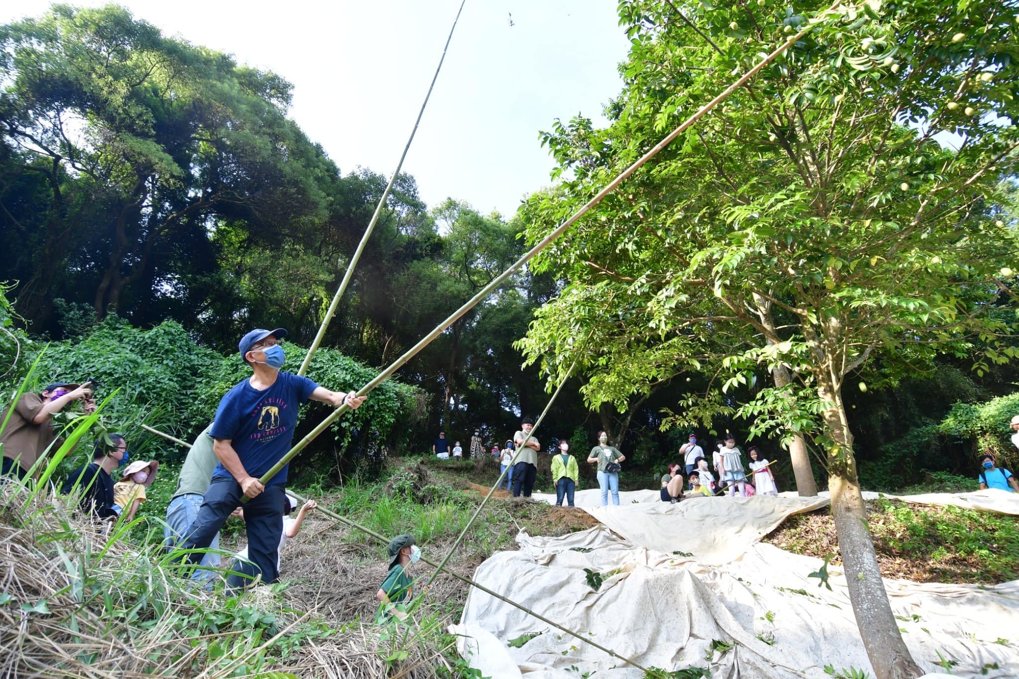 橄欖體驗活動