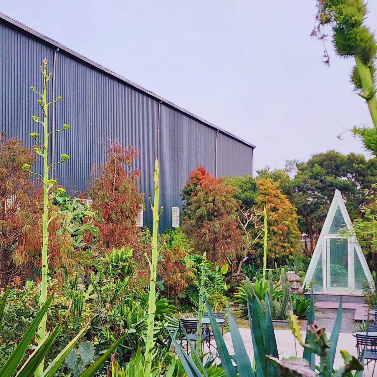 肉肉栽培研究所 • 多肉植物生態園區