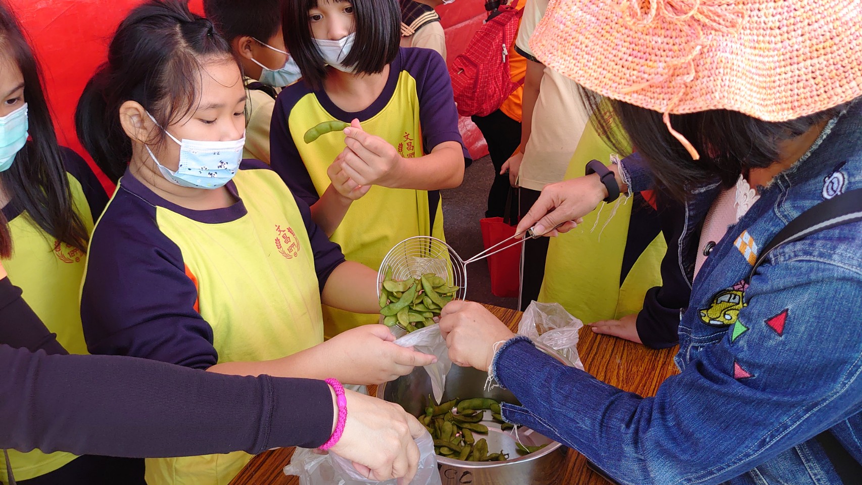 煮毛豆DIY課程