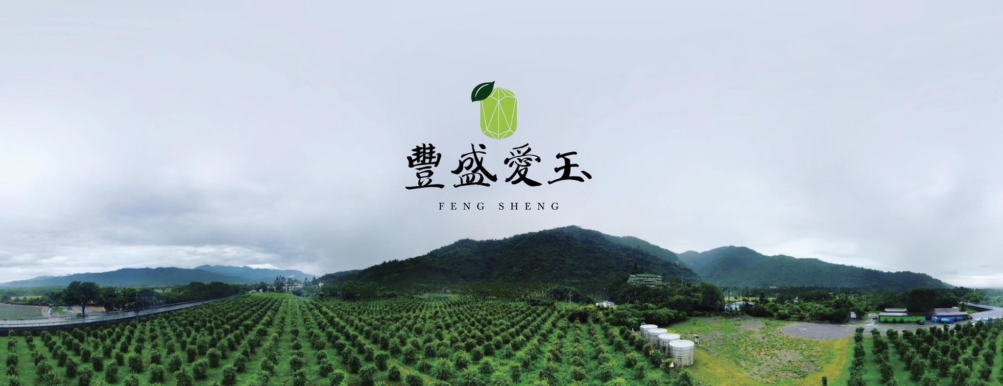 豐盛愛玉 1
