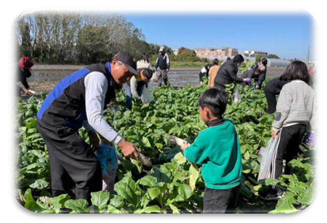 拔蘿蔔體驗活動