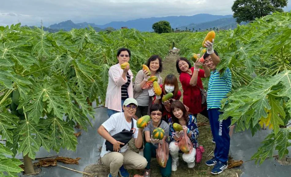 田在心健康果鋪