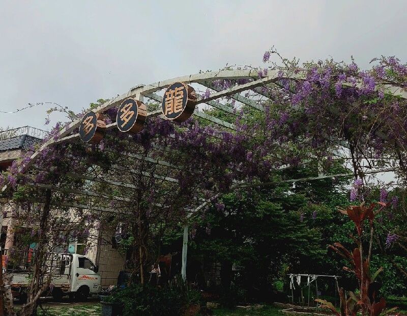 多多龍有機農場