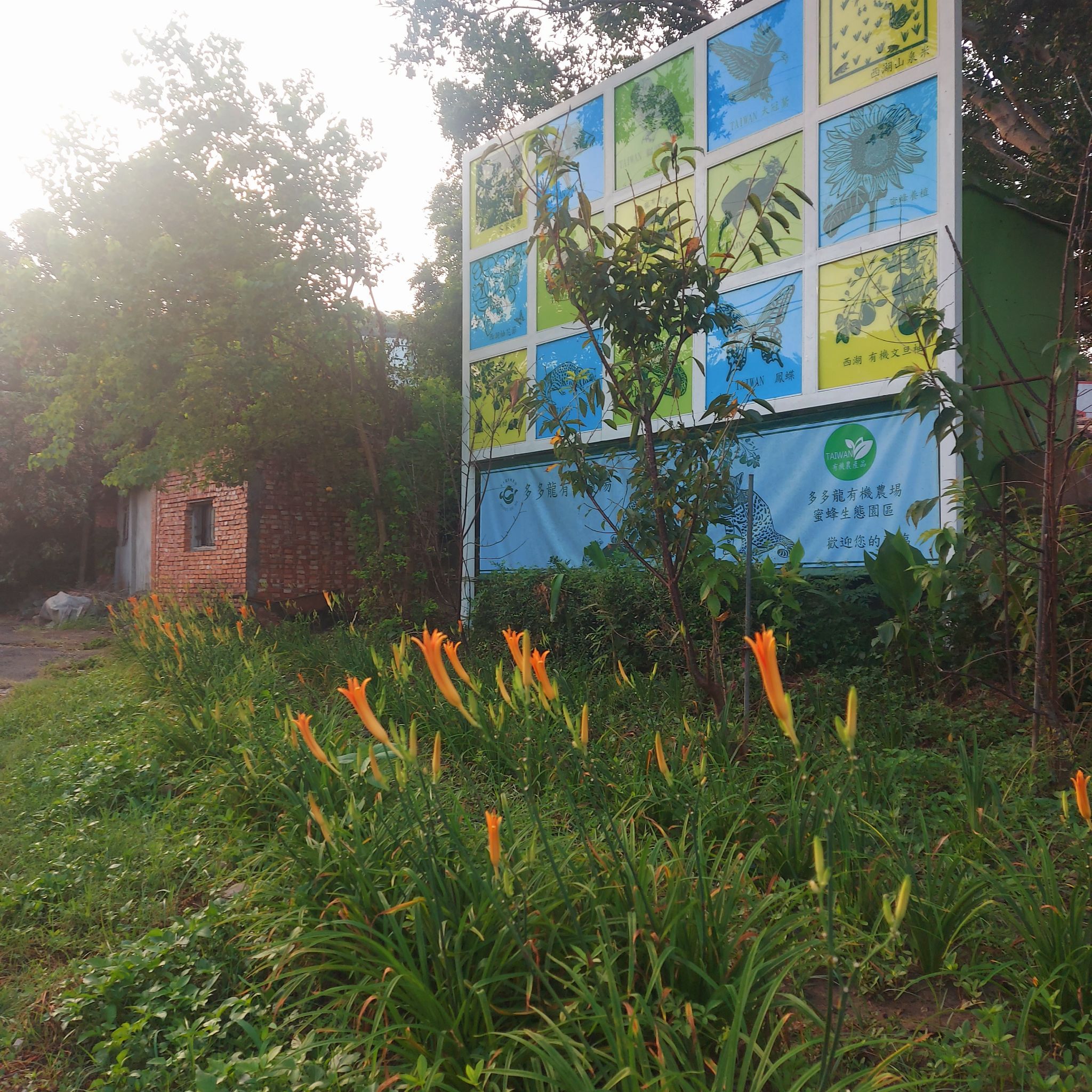 多多龍有機農場