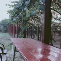 48422847_2243806085643552_2118336432266280960_n