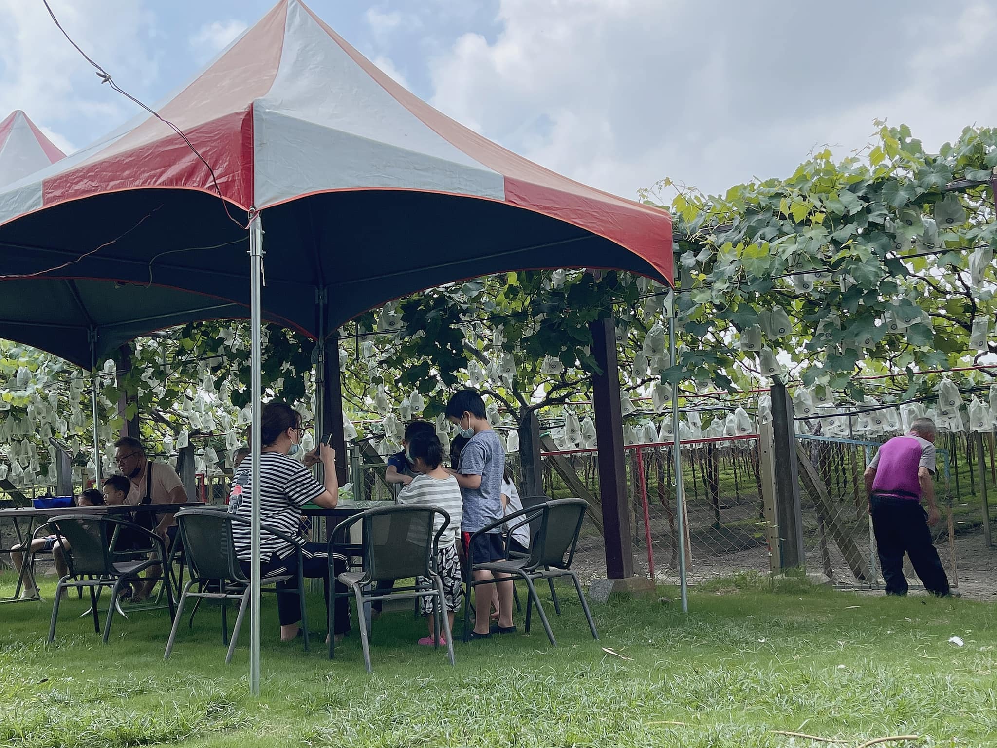 485179609_9790597254297693_1166880686087504265_n