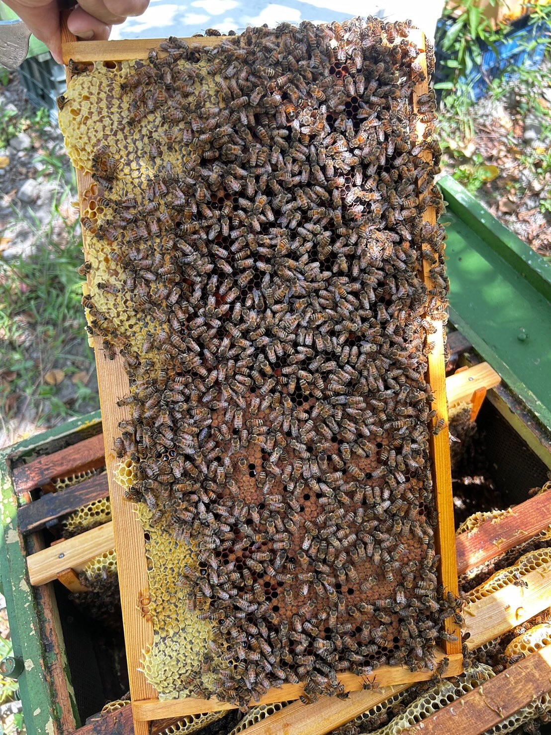 552196549_17996478095822220_3976266271700677517_n