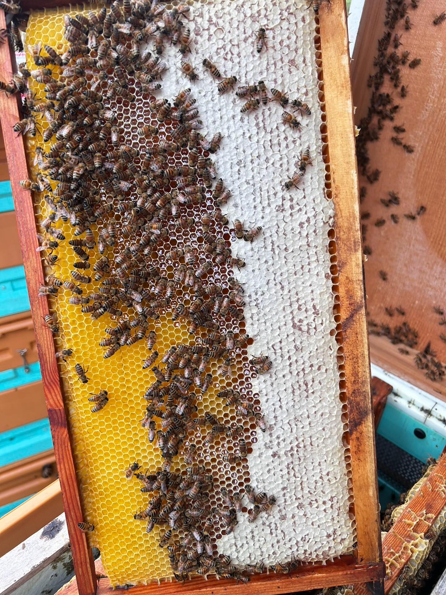 572372082_18000049898822220_1074821354444433472_n