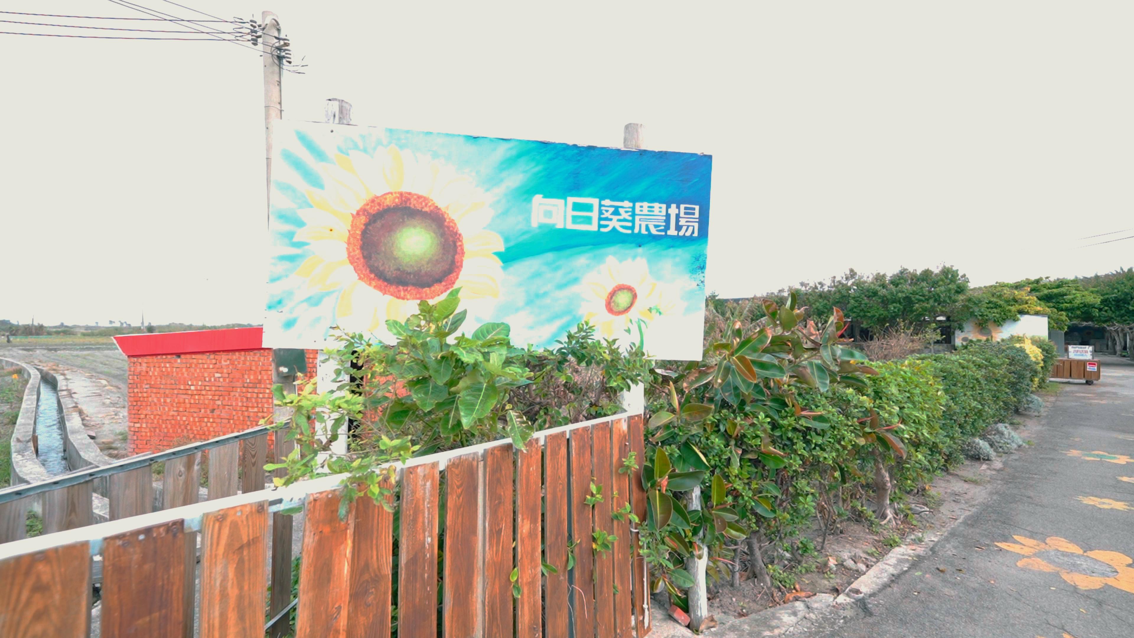 李安妮向日葵農場招牌