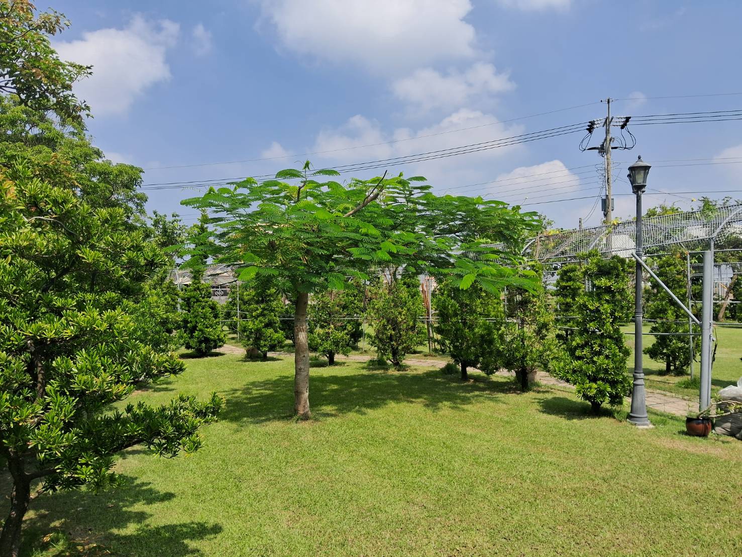 埤前社區小木屋