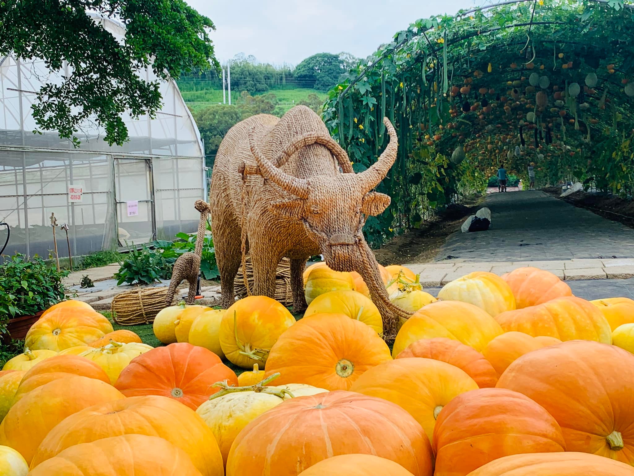 牛奶故鄉食農場域4