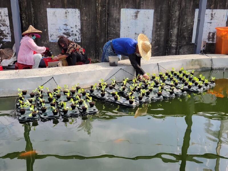 469528051_1673709846513113_7109992470717450746_n