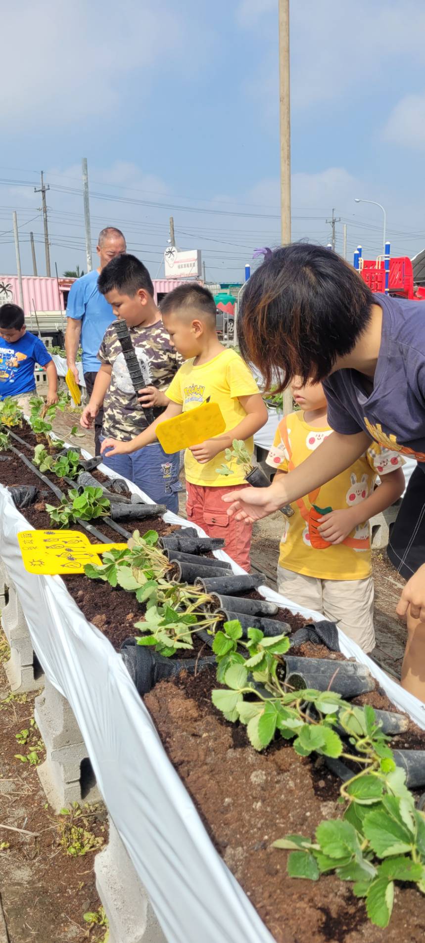 福家草莓園食農教育活動