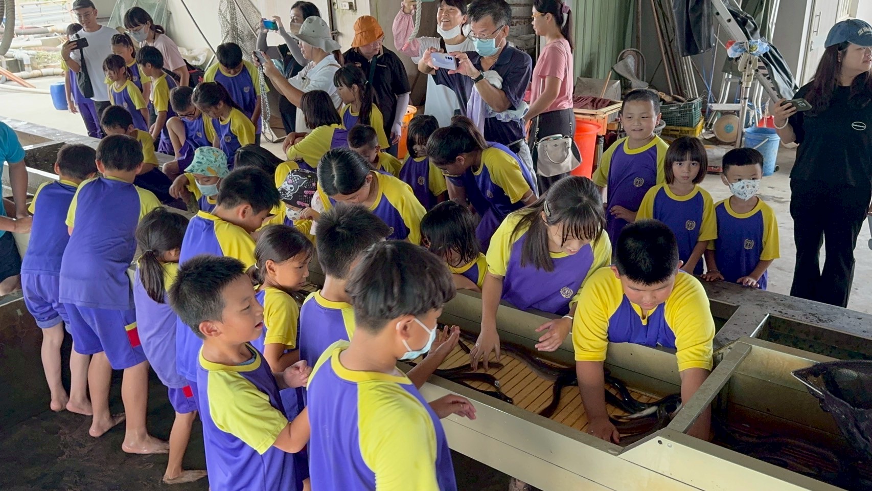 探索龍膽石斑、鰻魚趣5