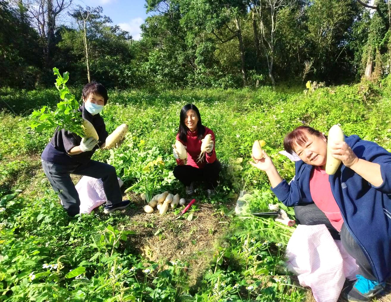 雙潭休區食農DIY