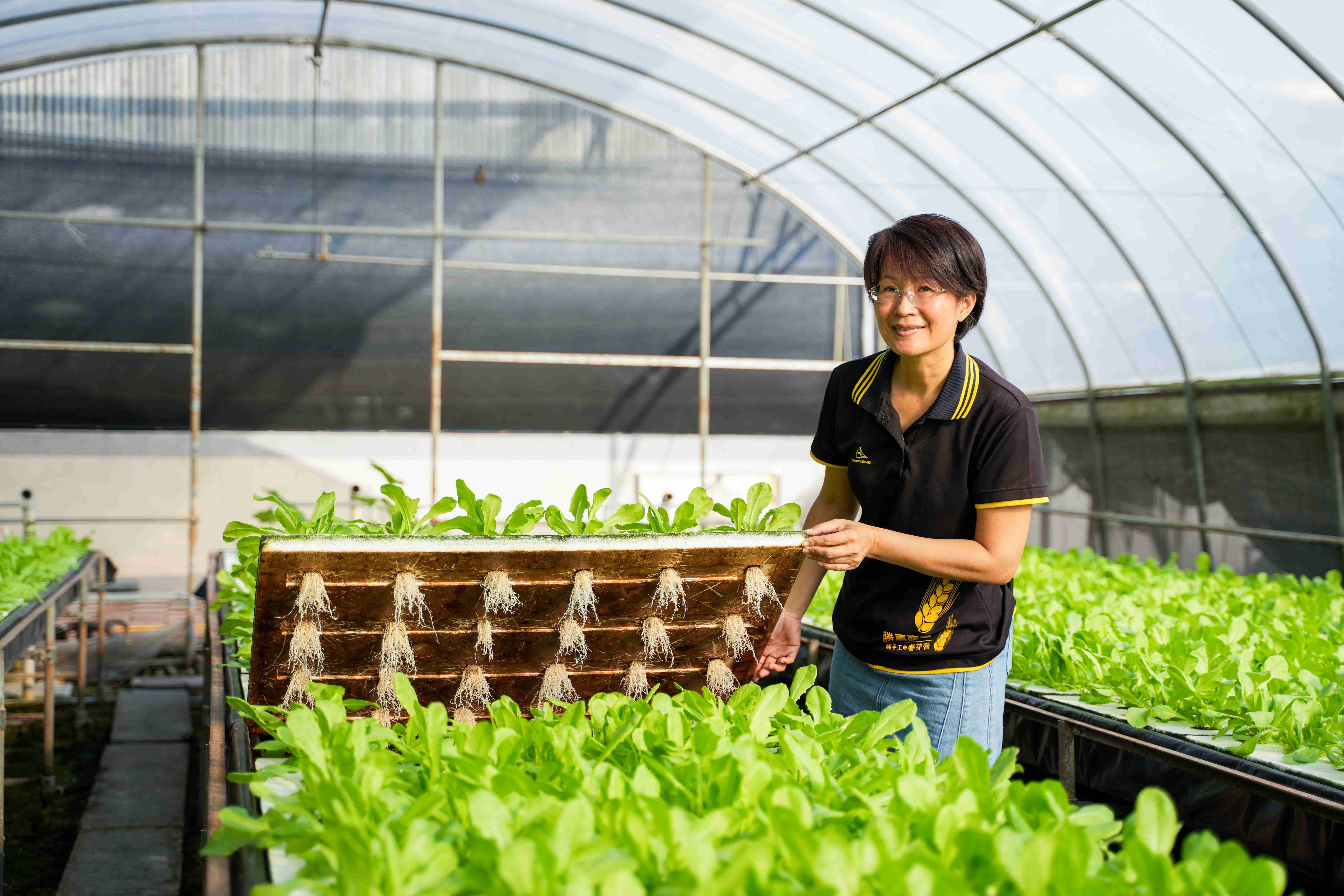 育成水耕教育農場