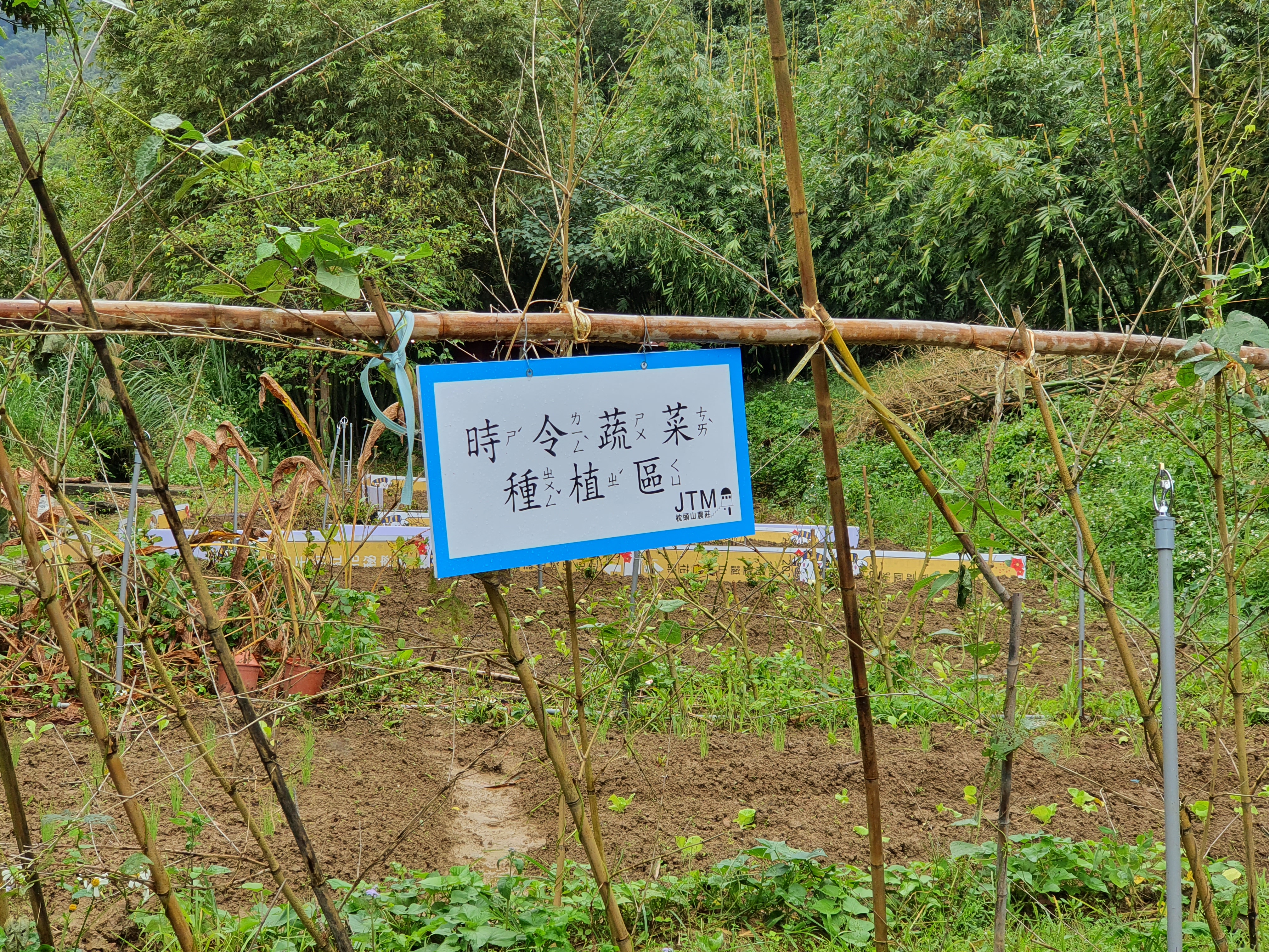 提供遊客體驗的蔬菜田園