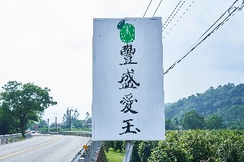 尋找愛玉果與合照2