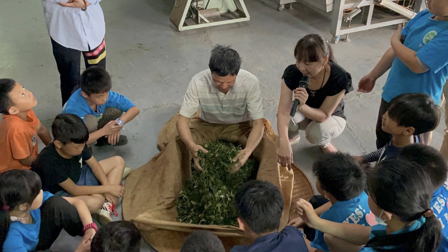 茶的魔術師