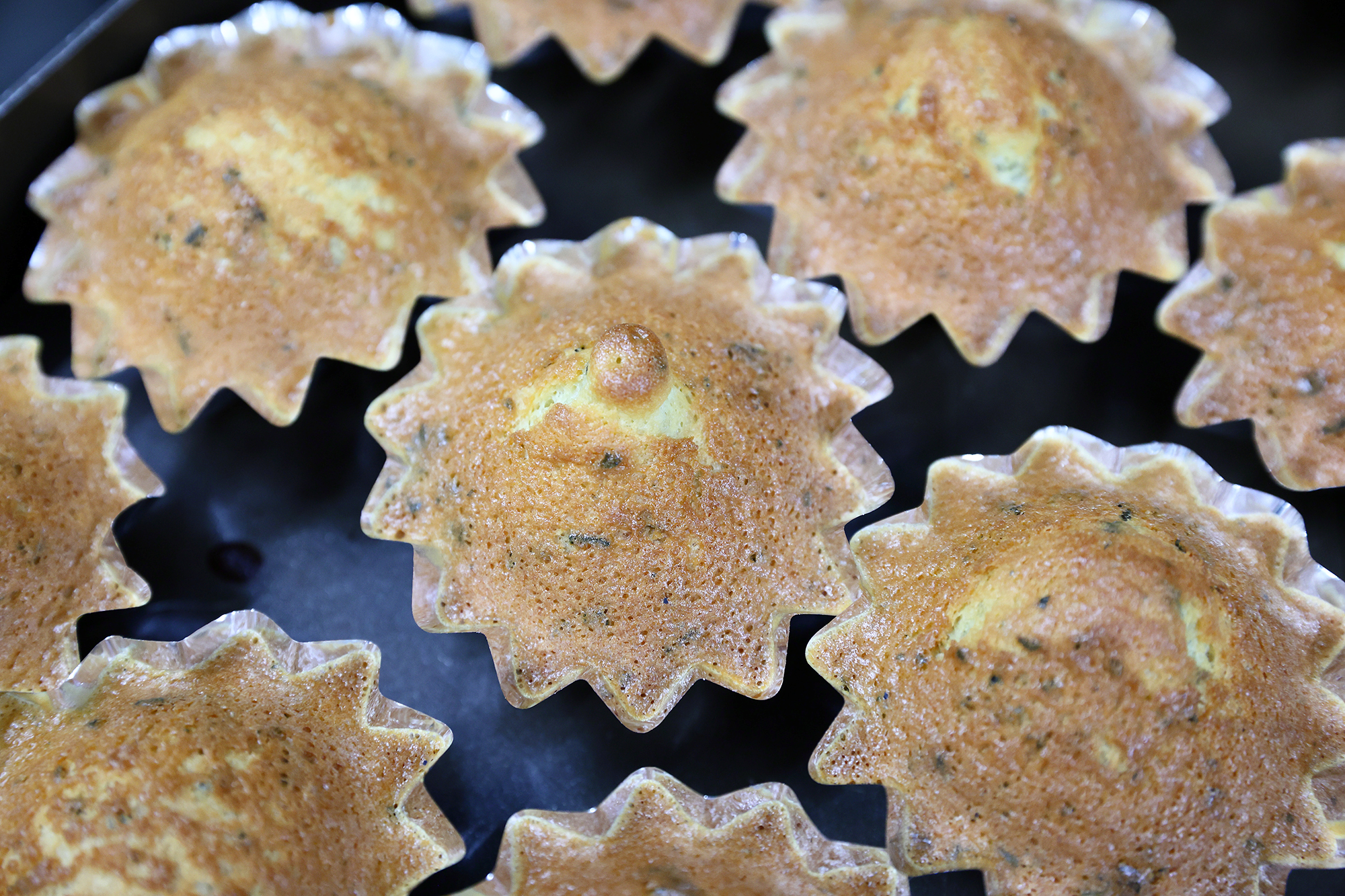 金色晨曦茶香蛋糕手作體驗