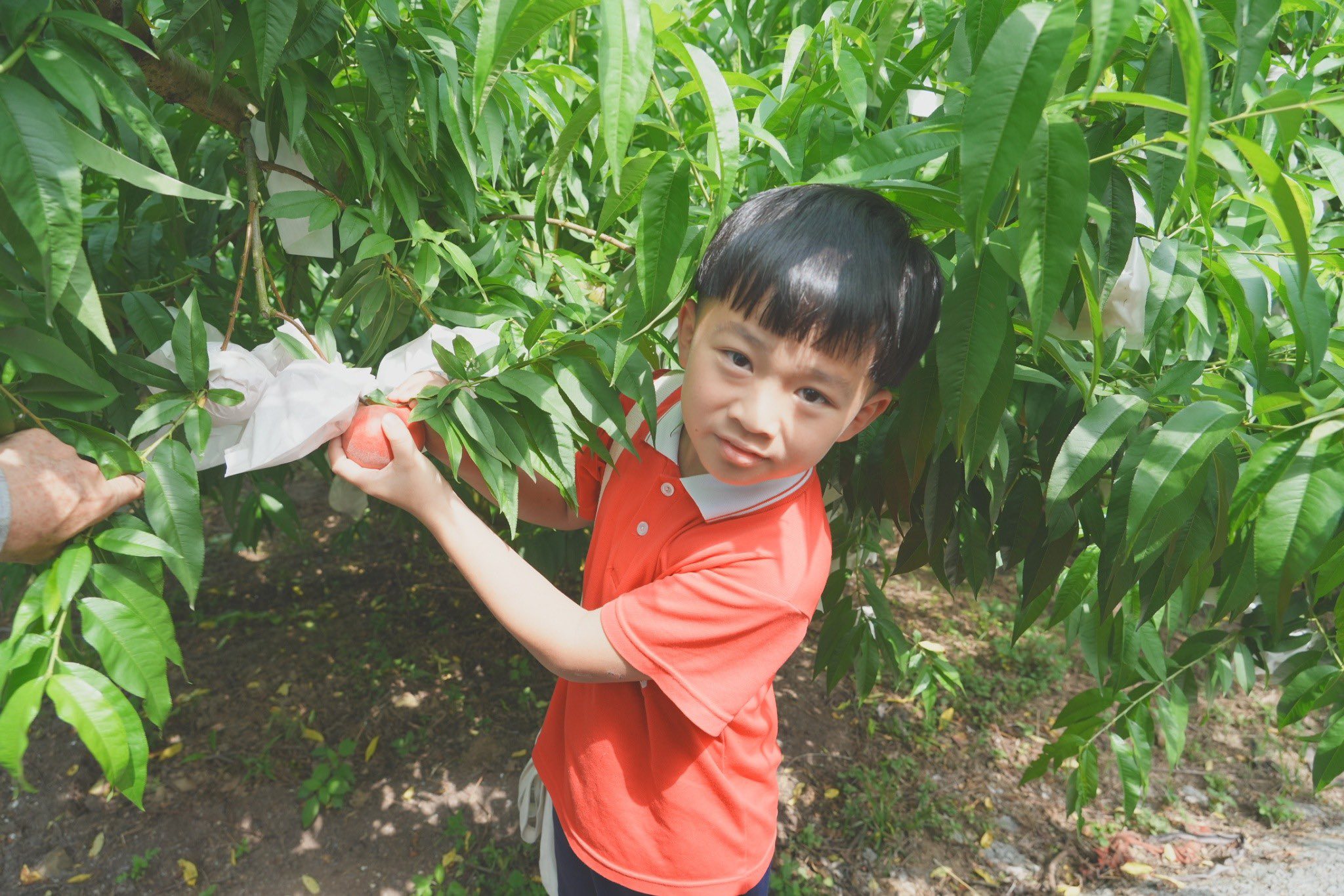 496004573_1118553823623678_1312516945633715711_n