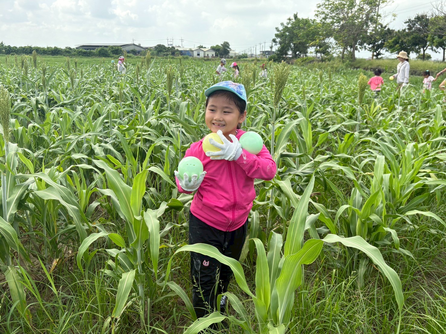 高粱田尋寶探險