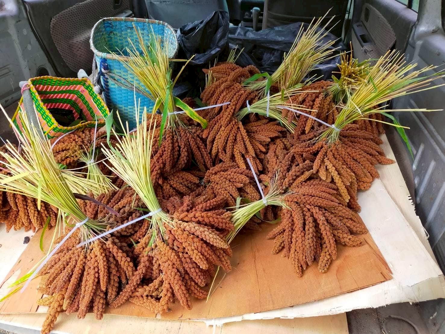 LINE_ALBUM_小米_251223_3