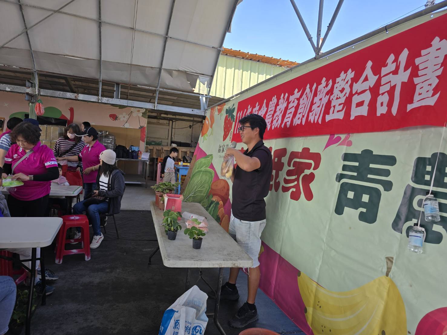 草莓所需要的環境及如何種植草莓