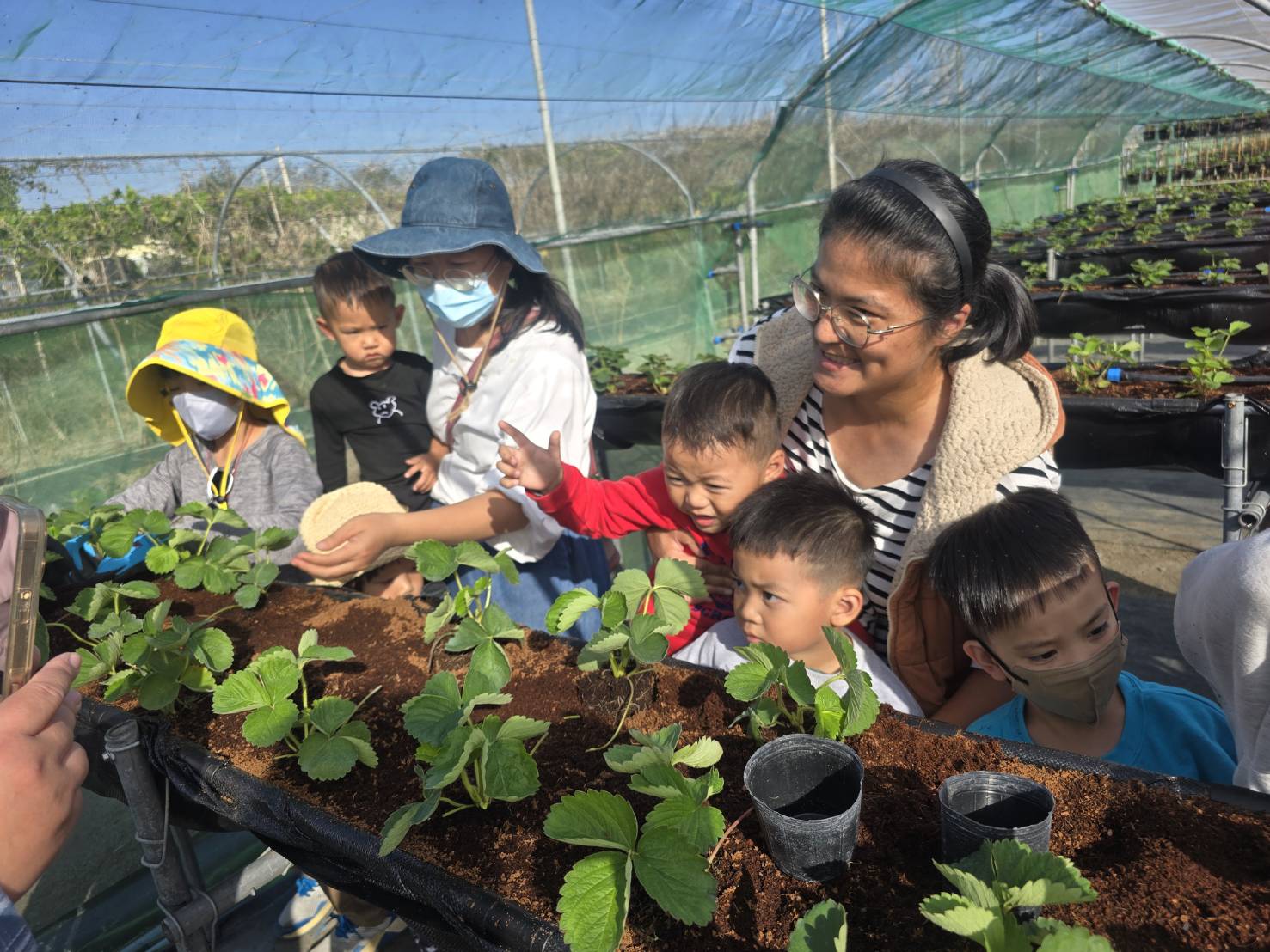 福家草莓園(植物種植)