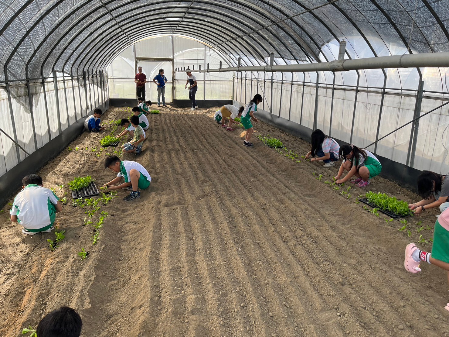 LINE_ALBUM_1012三年甲班移植（種苗）_231109_6