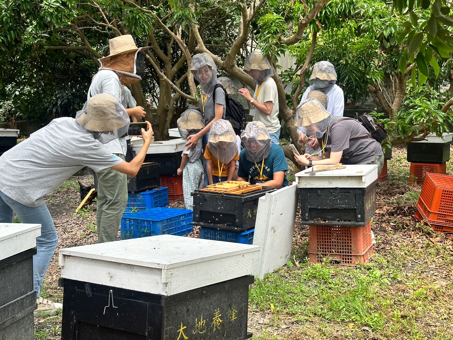 養蜂場地