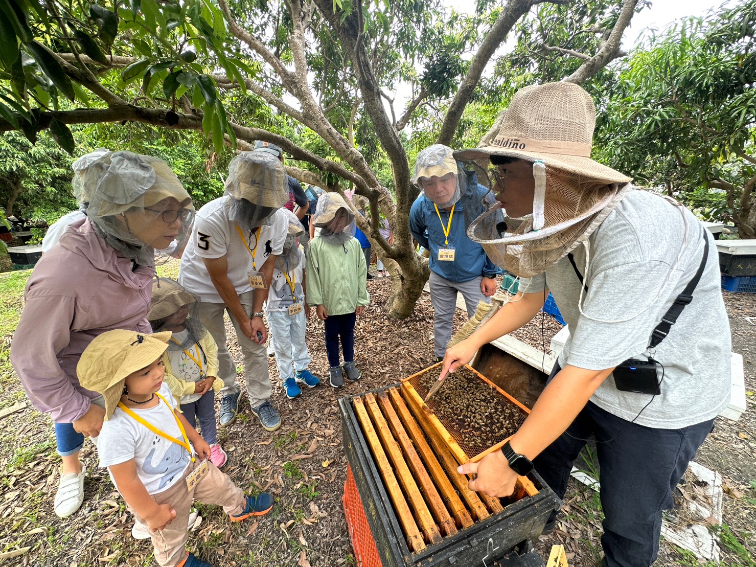 蜂場導覽