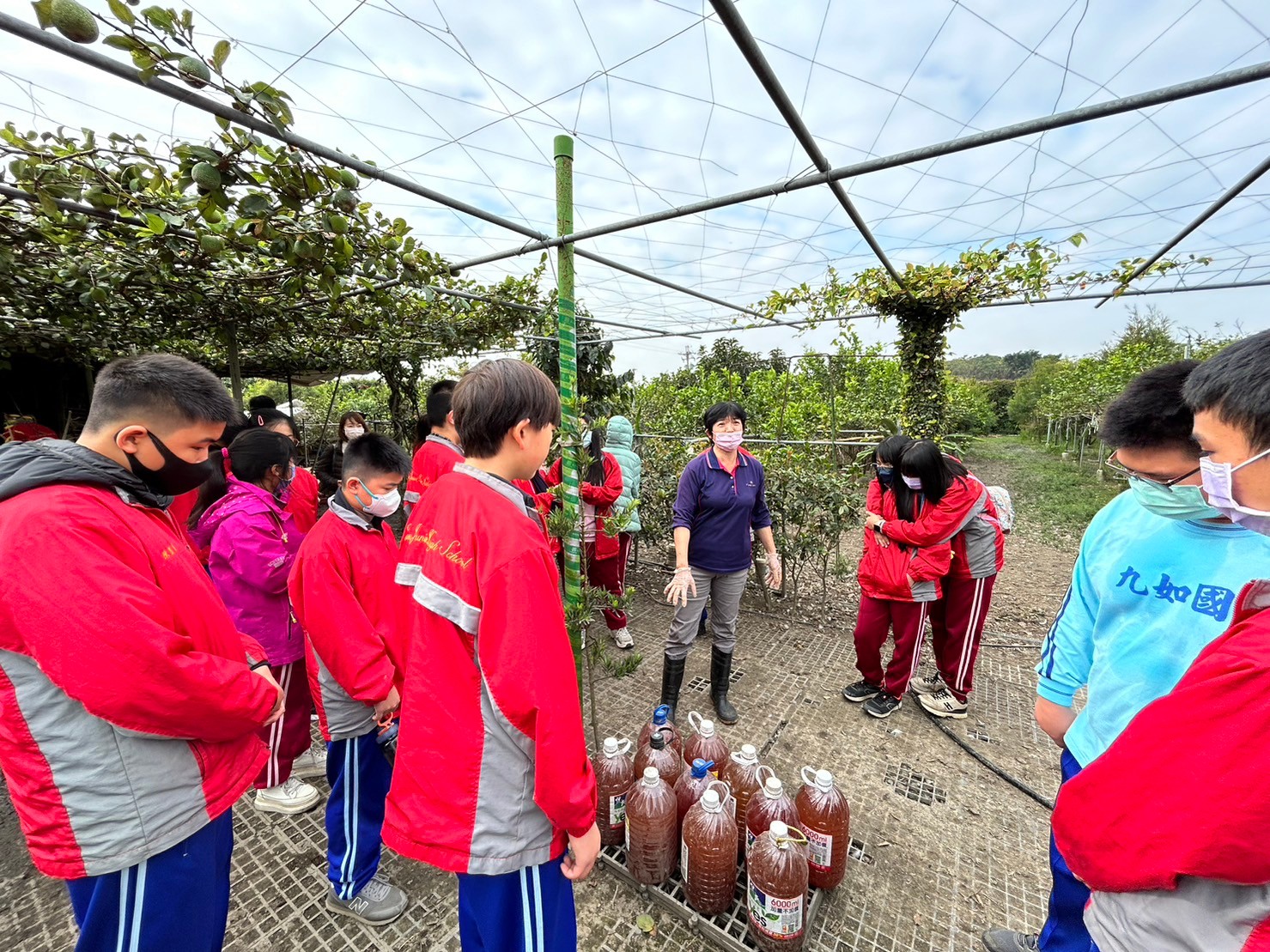 青農介紹推廣利用自製的有機酵素液肥、使用光合菌發酵