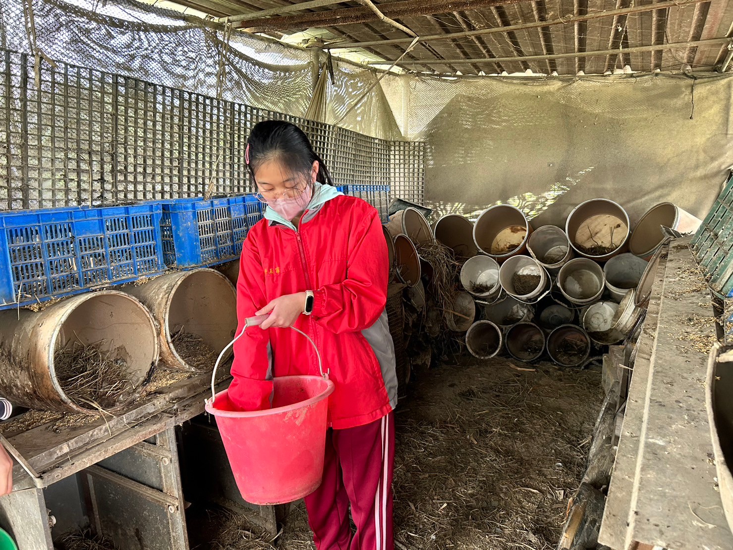 學員們親身撿雞鴨生下的有機蛋樂趣