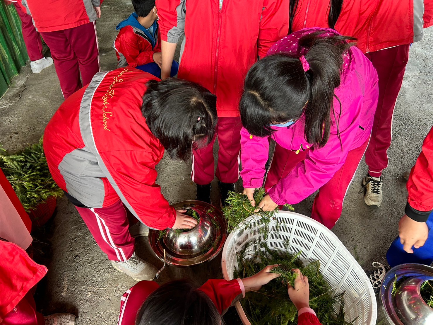 製作茶樹純露和精油體驗，活絡療育場域進行身心結合，感受天然有機種植的就是濃、純、香，一股芬香味道，身心靈馬上得到放鬆及舒壓的享受