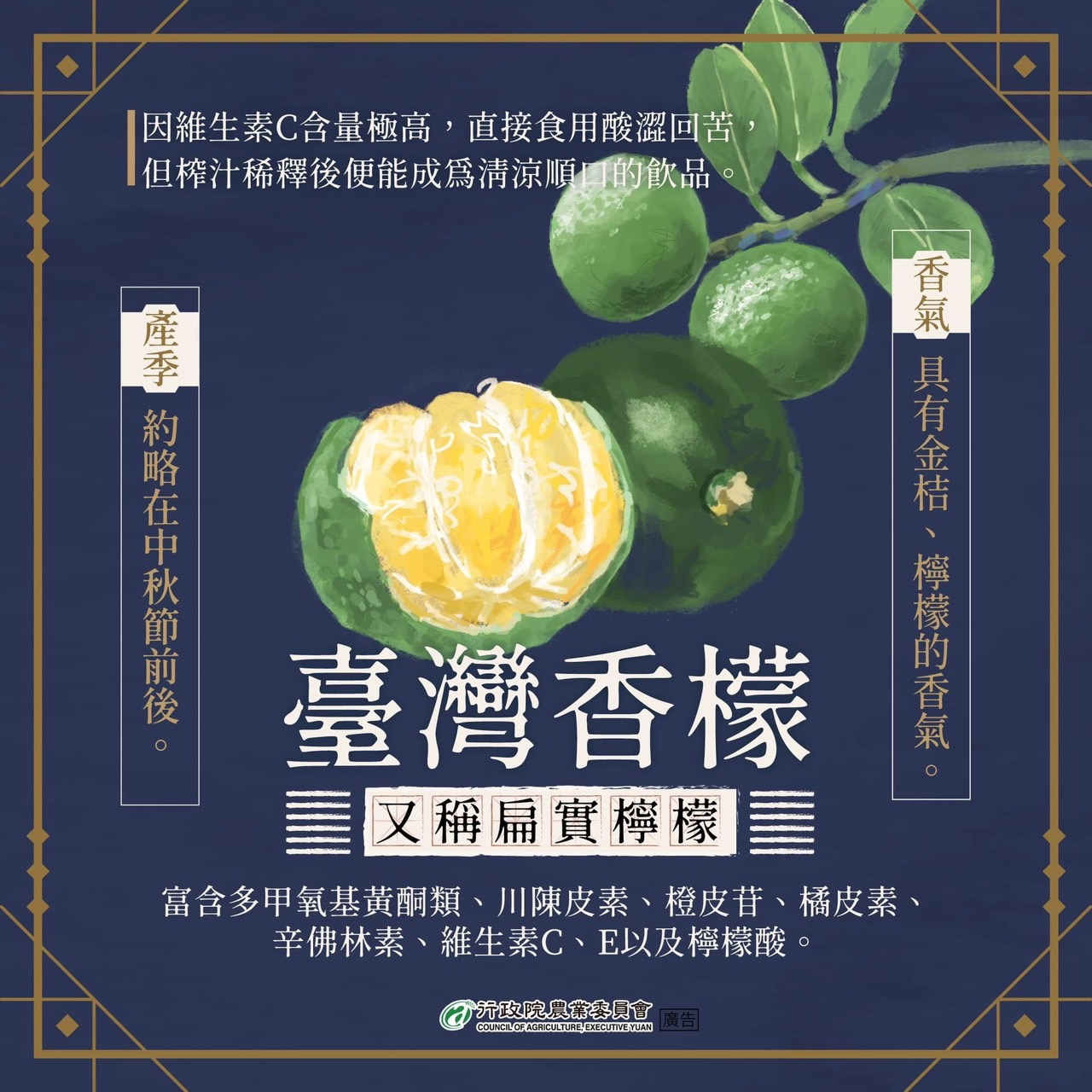 台灣香檬—農產知識