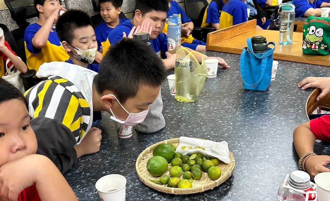 認識原形食物，台灣香檬的果實，與檸檬比較大小顆與外型不同之處
