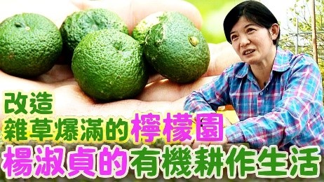 台灣香檬來源自貞心生態農場，貞心生態農場的主人（楊淑貞），是背後的推手，感恩用心的青農