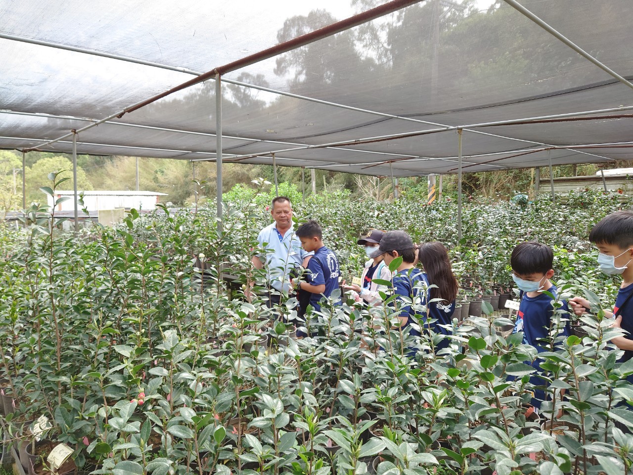 茶花介紹參訪