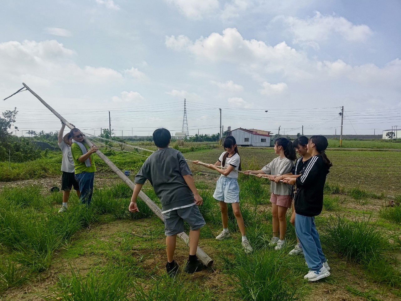 架設老鷹棲架