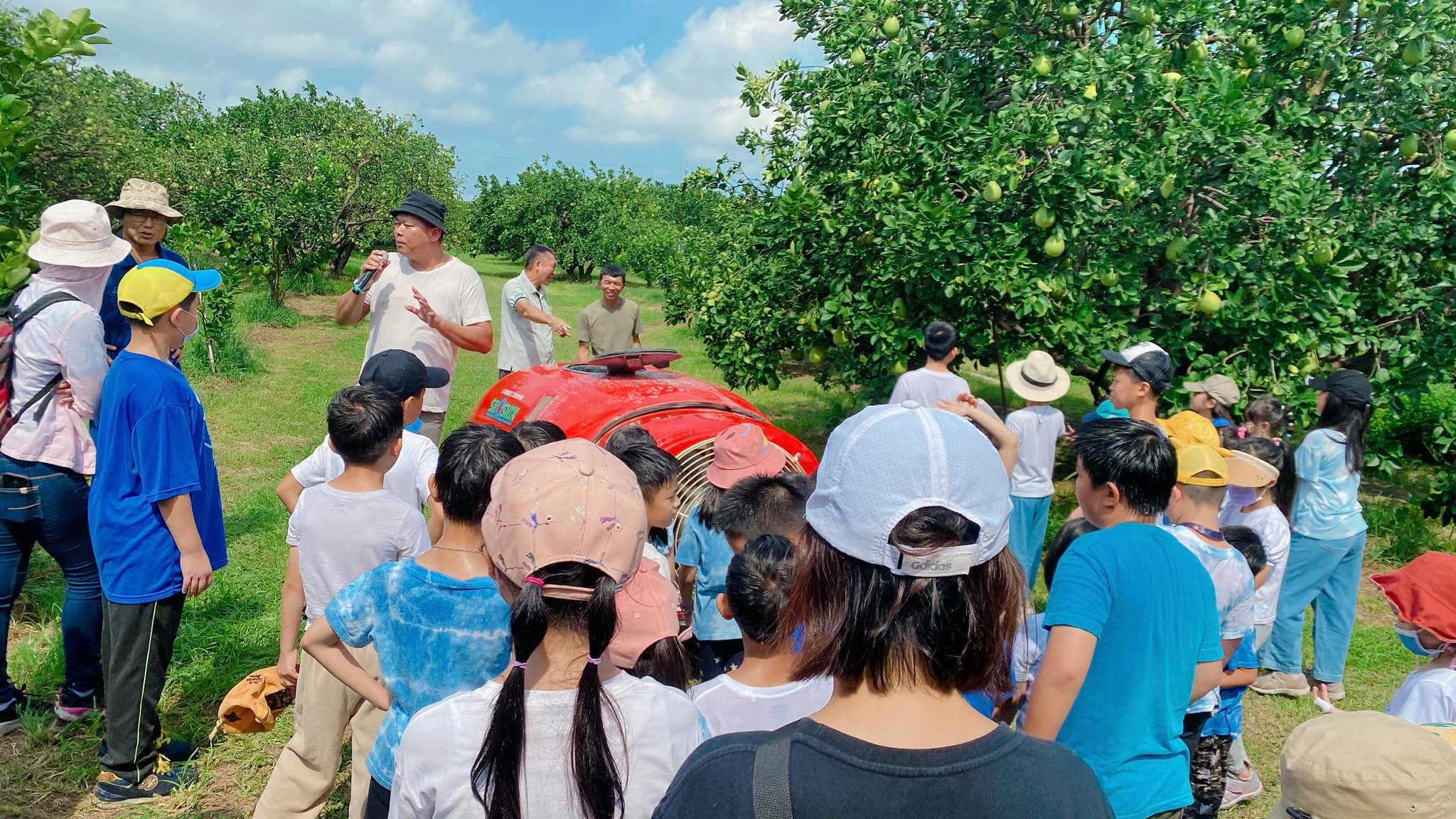 粽夏幸福