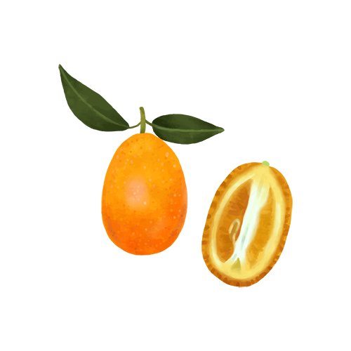 宜蘭金棗 (金柑)