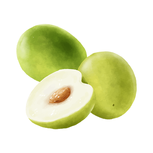 燕巢、阿蓮蜜棗